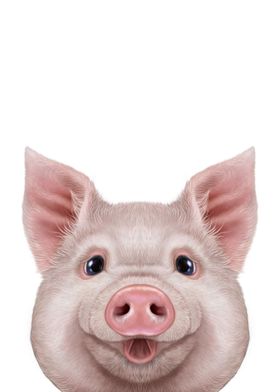 Cute Pig