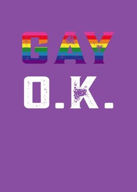 Gay OK LGBT flag Lesbian