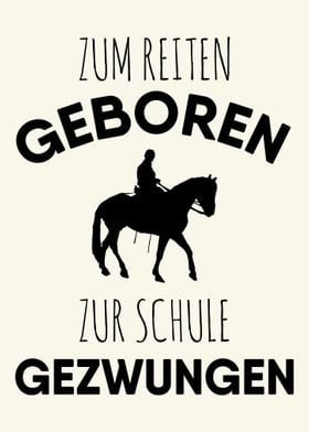 Witziger Pferde Spruch