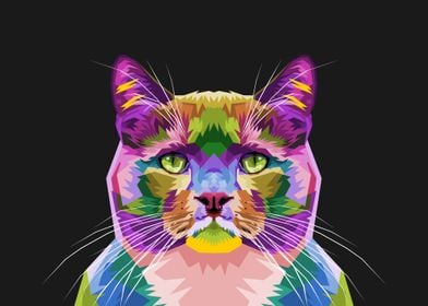 Colorful Cat fat funny cat
