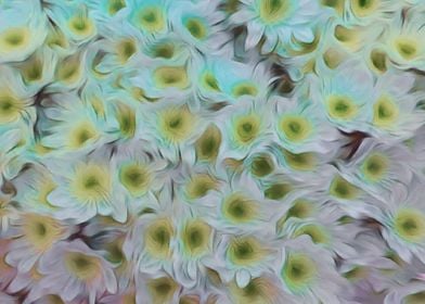 abstract daisy in bloom