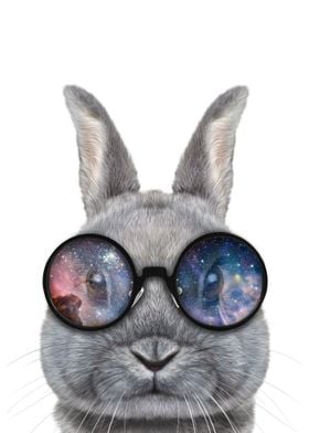 Rabbit in Space Sunglass