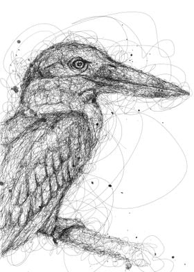 kingfisher scribble art