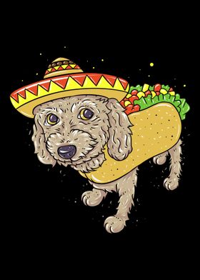 Dog Taco Owner