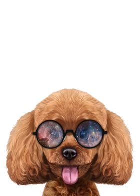 Poodle in Space Sunglass