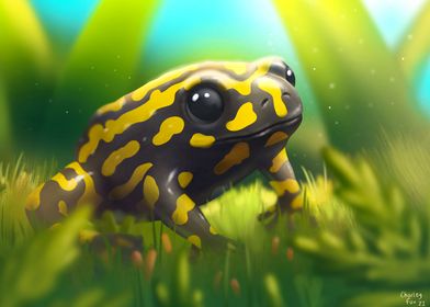 Corroboree Frog