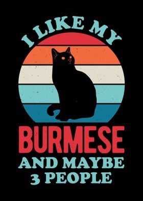 Burmese Cat Funny