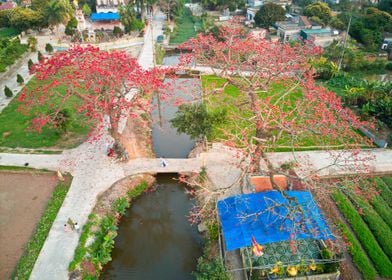 Spring in Vietnam