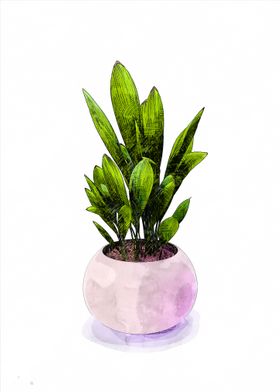 mini pot decoration