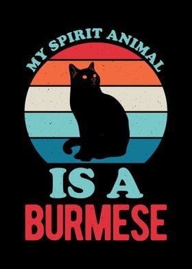 Burmese Cat Funny