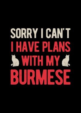 Burmese Cat Funny