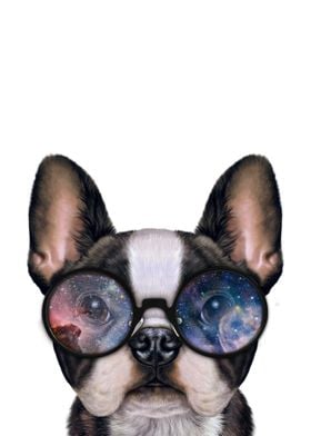 Bulldog in Space Sunglass