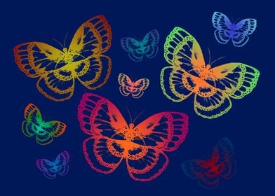 Colorful Butterflies Blue