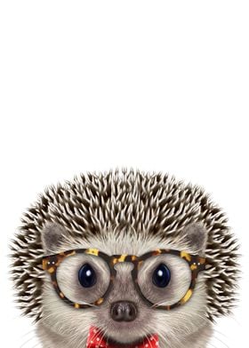 Cute Dandy Hedgehog