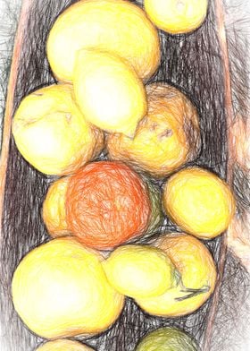 fruit in the basket