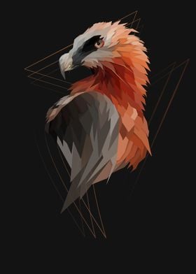 Polygonal Eagle Vulture