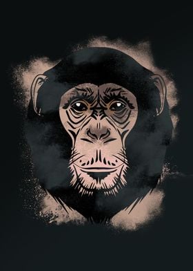 Chimpanzee African Animal