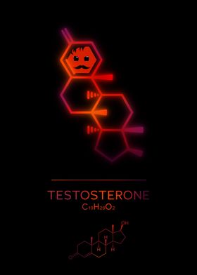 Neon Testosterone