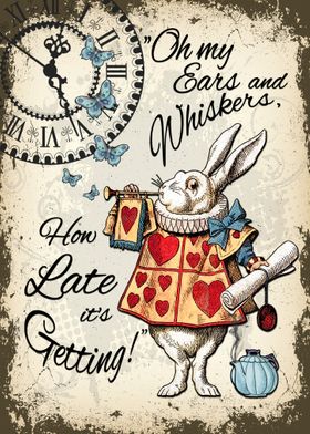 Alice White Rabbit
