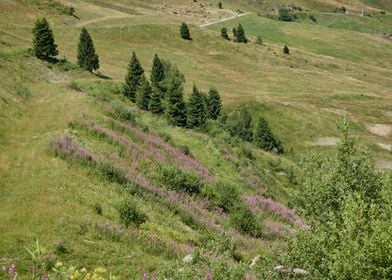 landscape rocky mountain