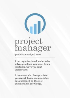 Project Manager Definition