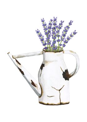 Lavender in a Watering Can