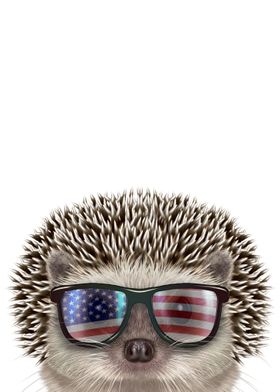 USA Patriot Hedgehog