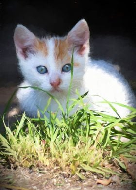 cute cat in the garden