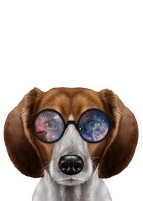 Beagle in Space Sunglass