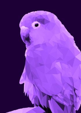 lovebird  low poly