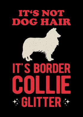 Funny Border Collie