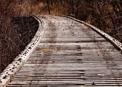 Old train trestle bridge