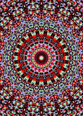 Trippy Colorful Mandala