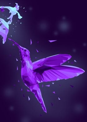 kolibri bird low poly