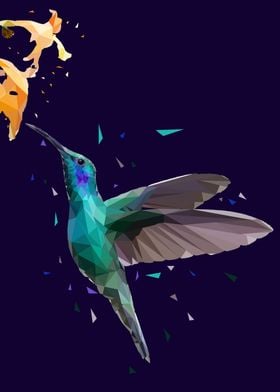 kolibri bird low poly