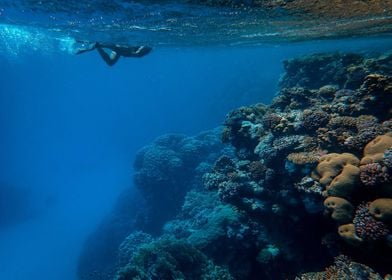 blue under water sea a