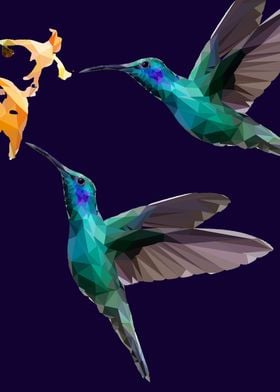 kolibri bird low poly