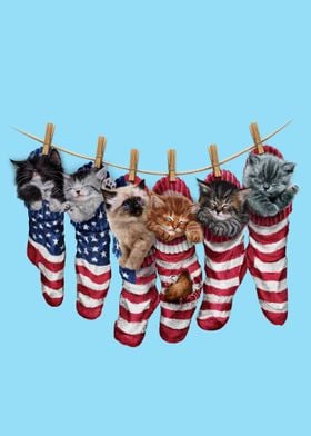 Kittens in USA Socks