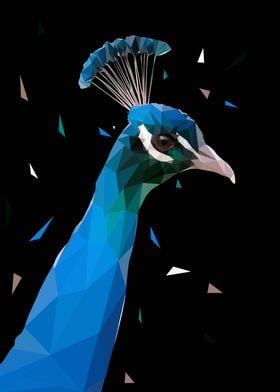 peacock low poly