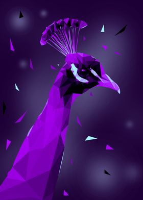 peacock low poly