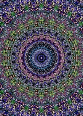 Colorful Rainbow Mandala