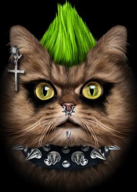 Punk Rock Tabby Cat