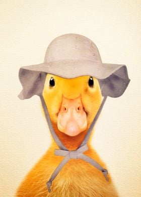 Sweet Ducky