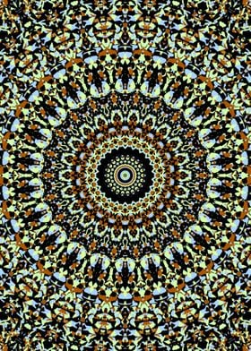 Funky Trippy Mandala