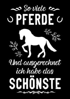 Super Pferd Spruch