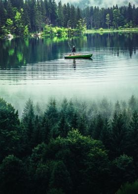 Fishing in the lake forest