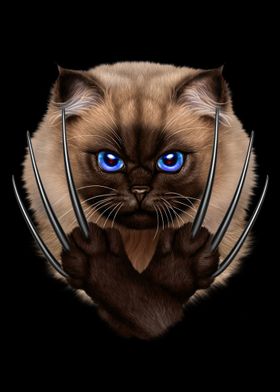 Warrior Siamese Cat