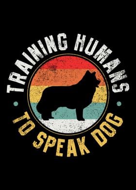 Dog Trainer Dog Training