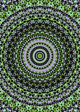 Psychedelic Groovy Mandala