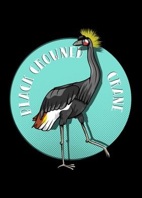 Black crowned crane